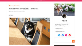 柴犬 黒まめのにおいは昆布臭。